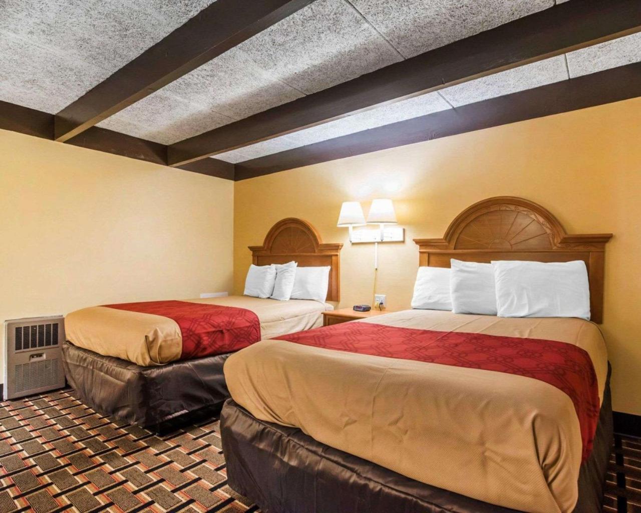 Econo Lodge ניו פאלץ מראה חיצוני תמונה