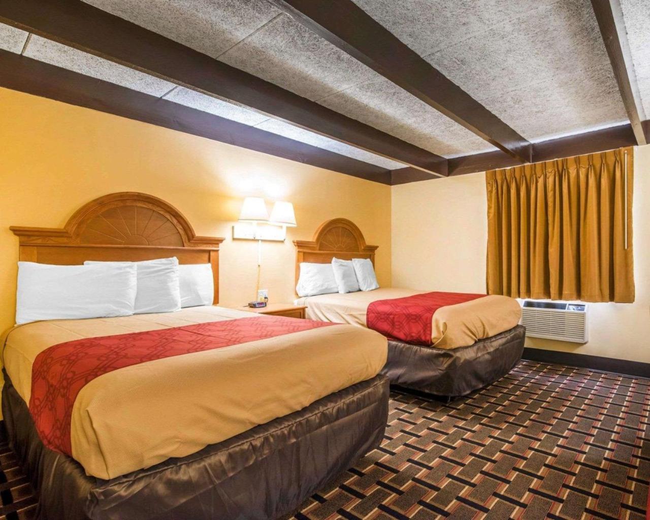 Econo Lodge ניו פאלץ מראה חיצוני תמונה