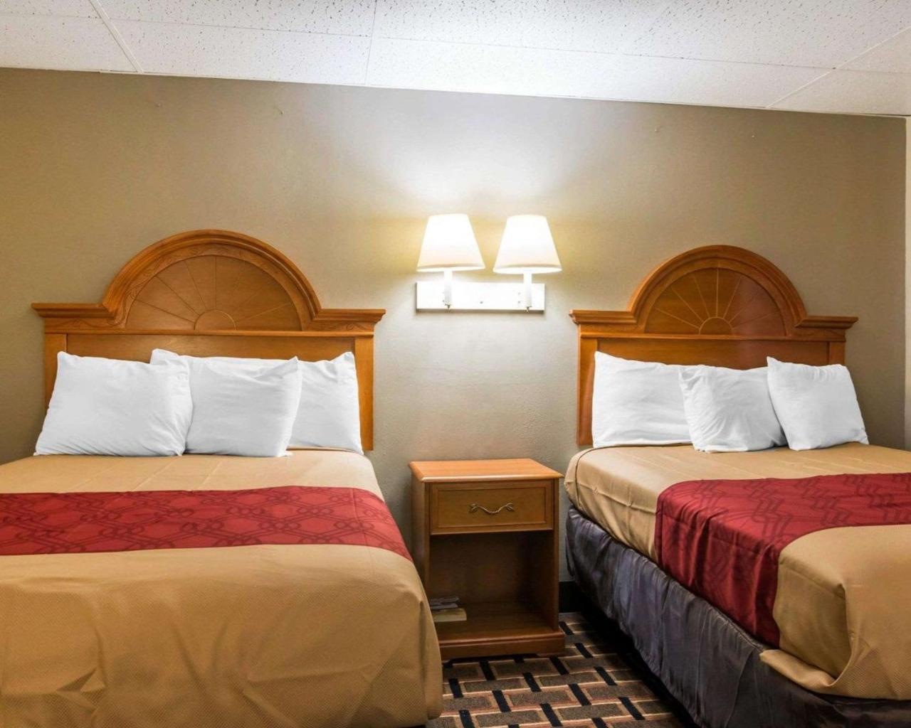 Econo Lodge ניו פאלץ מראה חיצוני תמונה