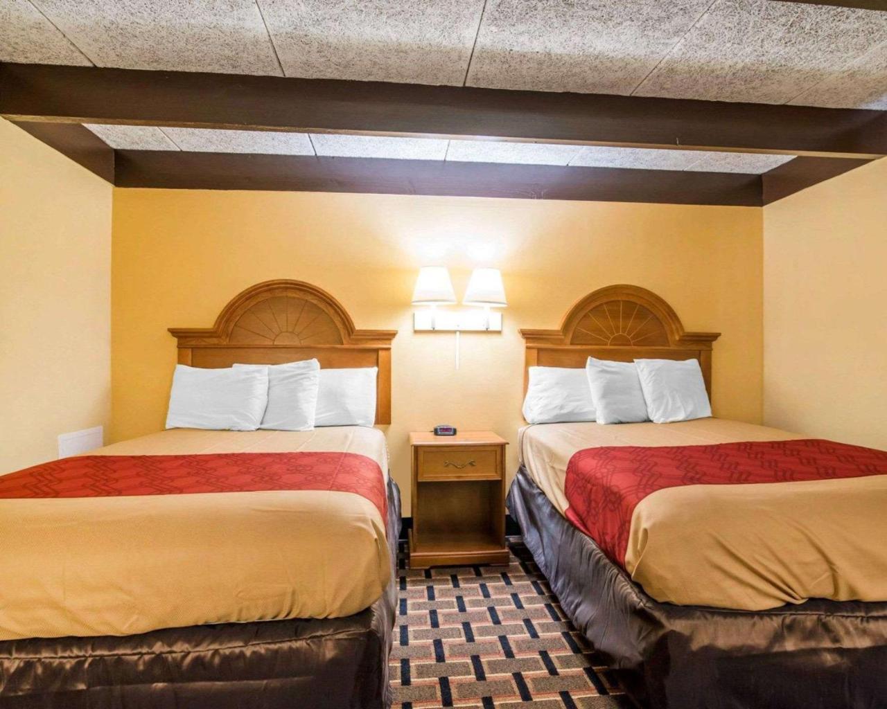 Econo Lodge ניו פאלץ מראה חיצוני תמונה